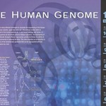 342×256-Human-Genome-Map-e1346513080601