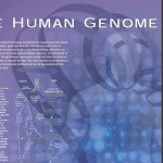 Human-Genome-Map