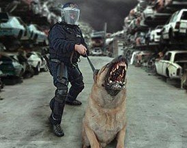 Welcome to the Militant Zionism