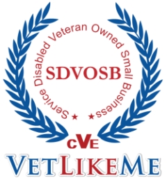 VLM logo1