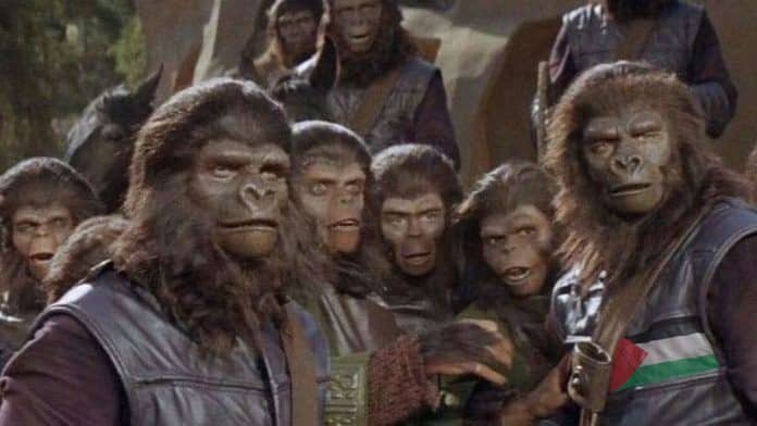 planet-palestinian-apes