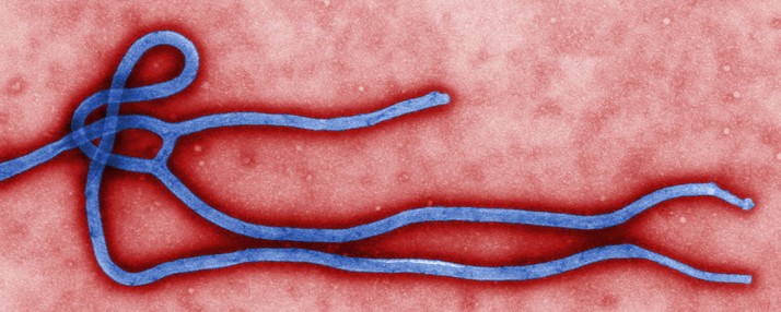 about-ebola