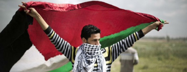 landday2.jpg  768×432