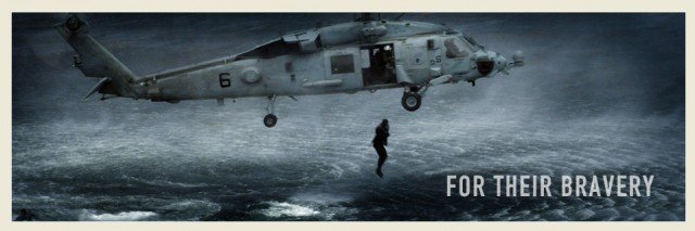 To all the real SEALS, and we know who you are...we salute you all