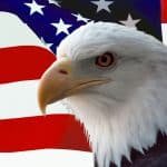 bigstockphoto_American_Bald_Eagle_on_Flag_754506 (2)