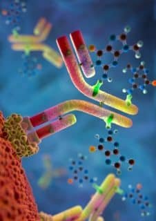 Perfect reproduction of antibodies is the goal