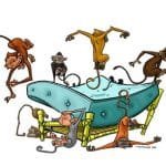 Monkey1