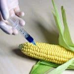 Monsanto-Rider-2013-HR-933-GMO-Genetically-Modified-foods-Litigation-Public-Policy-Political-Legislation-Bill