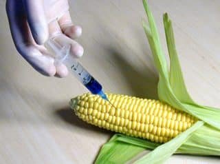 Corporate monopolies are trumping food safety through political corruption