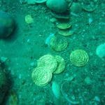 goldcoins3
