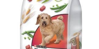 Over 3,000 Complaints Tied to This Brand of Dog Food