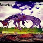 Goodnight America 5