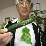 FukushimaCuke