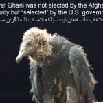 ashraf%203