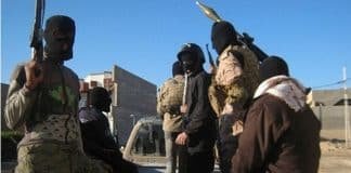 Kurdish MP: Iran, Iraq, Syria to Study Strategic Plan for War on ISIL