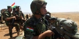Kurd MP: 7,000 Iraqi Pishmarga Forces Likely to Fight in Syria