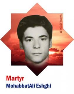 Iranian martyr