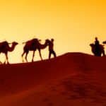 Silk-Road-Camels