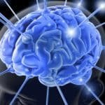 brain damage