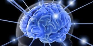 Hidden damage revealed in veterans’ brains from IED blasts