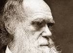 darwin