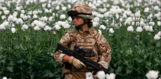 What does the capture of Musa Qala signify about Taliban and Government?