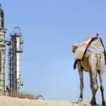 oil-refinery-camel-saudi-arabia-560×257