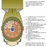 Fat_Man_Internal_Components