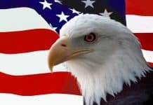 How We Lost America in Ten Easy Steps