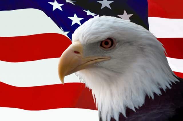 bigstockphoto_American_Bald_Eagle_on_Flag_754506 (2)