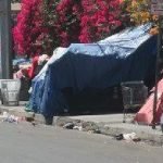 tents