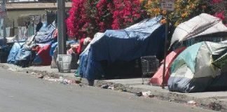 VA Secretary McDonald Must be Fired, Posthaste!