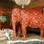 ELEPHANT1