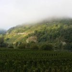 Kaiser_025
