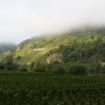 Kaiser_061