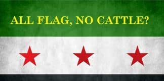 Lavrov: US Backed Free Syrian Army Seems to have Vanished