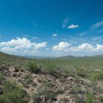 Sonora Desert – Arizona