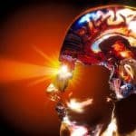 Human brain.