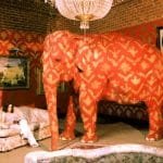 elephant4