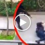 Charlie_Hebdo_Shootings_Censored_Video__StormcloudsGathering__194699