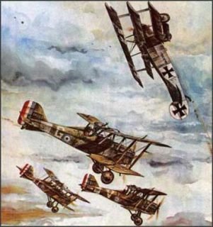 WWI dogfighters were called "fur balls"