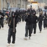 ISIS11