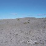 Texas Dust Bowl