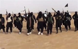 isis 24