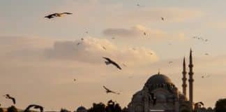 ‘Turkey Openly Supports ISIL, Desires to Rebuild Empire’