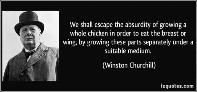 quote-we-shall-escape-the-absurdity-of-growing-a-whole-chicken-in-order-to-eat-the-breast-or-wing-by-winston-churchill-219031