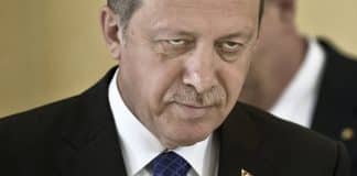 ‘Turkey Main Sponsor of Terrorists in Syria’ – Lebanese Politician