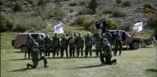 Iraq Offers to Send Troops to Turkey to Fight ISIS, at their real “Home Base”