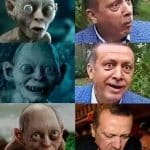turkey