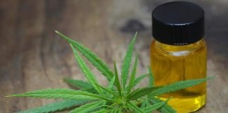 Hemp Buds and CBD Flowers Available to Order Online